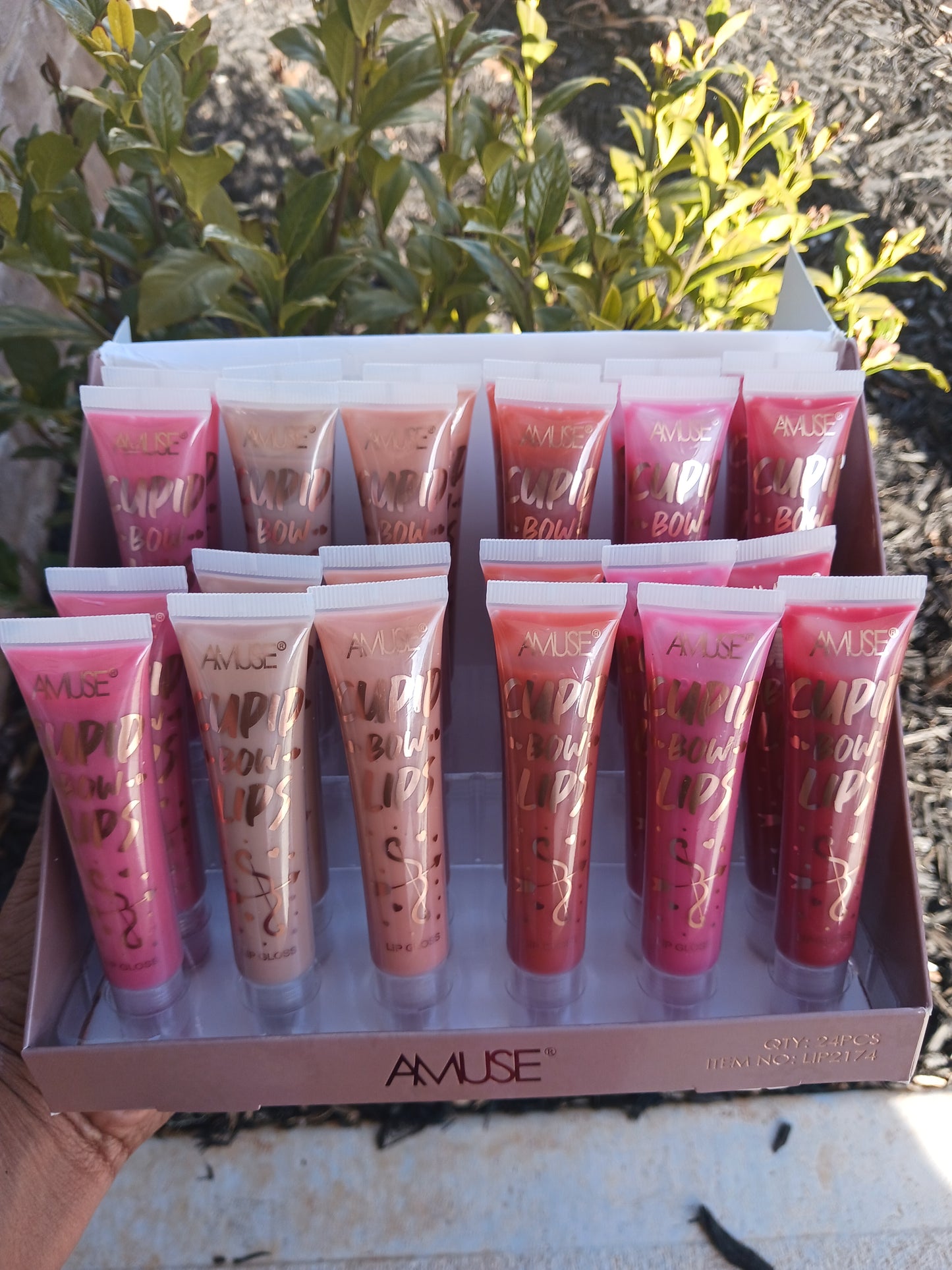 Amuse Lip Gloss