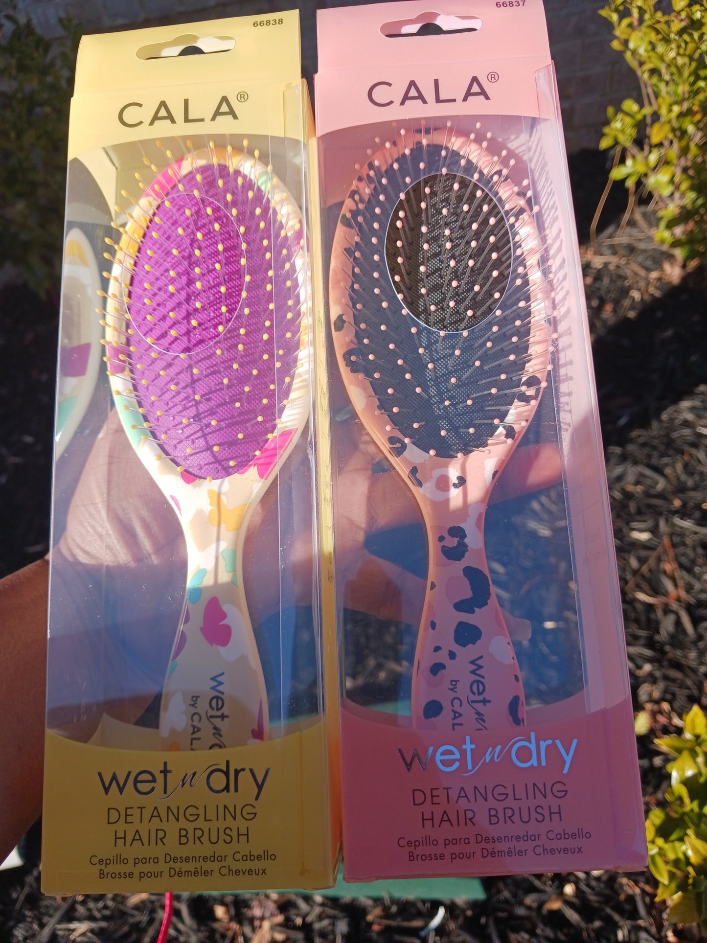 Wet-n-Dry Brush